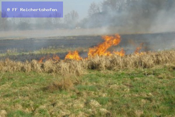 Mittelbrand Mittelbrand